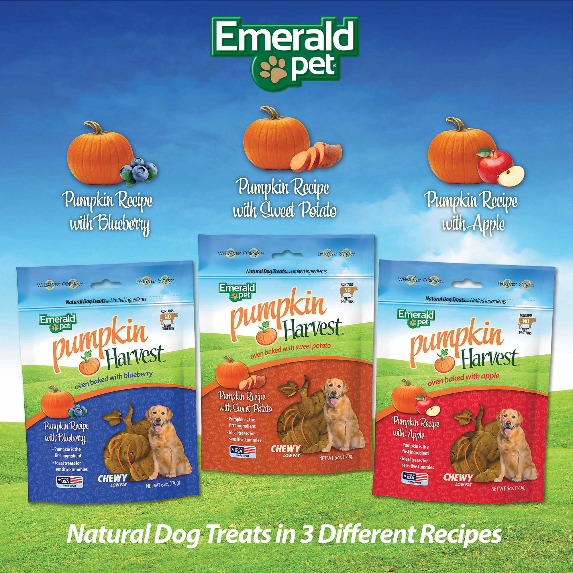 Emerald Pet Pumpkin Harvest perro disfrutando: aroma delicioso que motiva la actividad diaria.