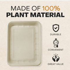 Emerging Green: caja de arena desechable de material vegetal para casa limpia.