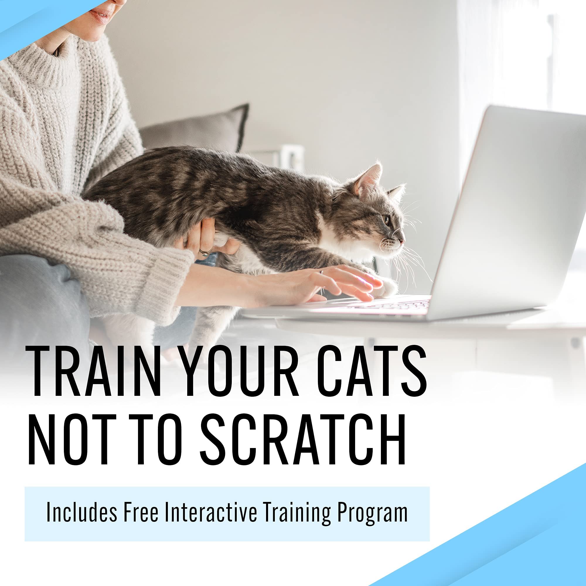 Emmy's Best EBPP: aplicación fácil y rápida para entrenar hábitos