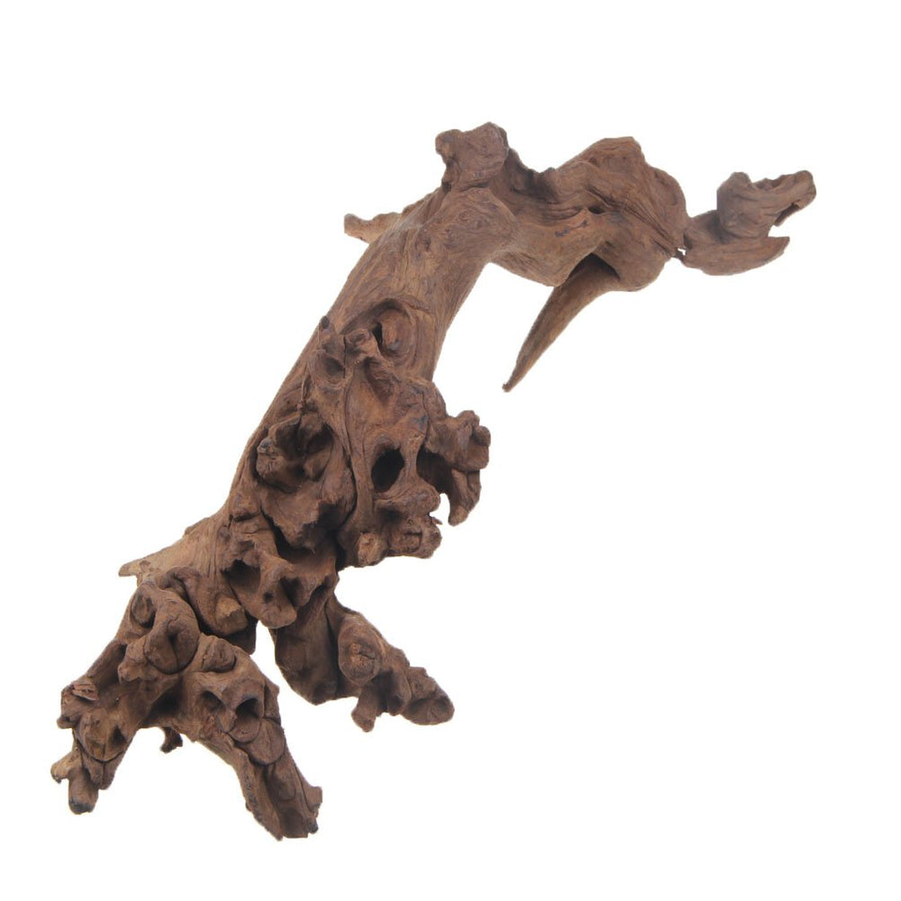 emours driftwood variedad visual xl: variedad de formas naturales para un acuario único.