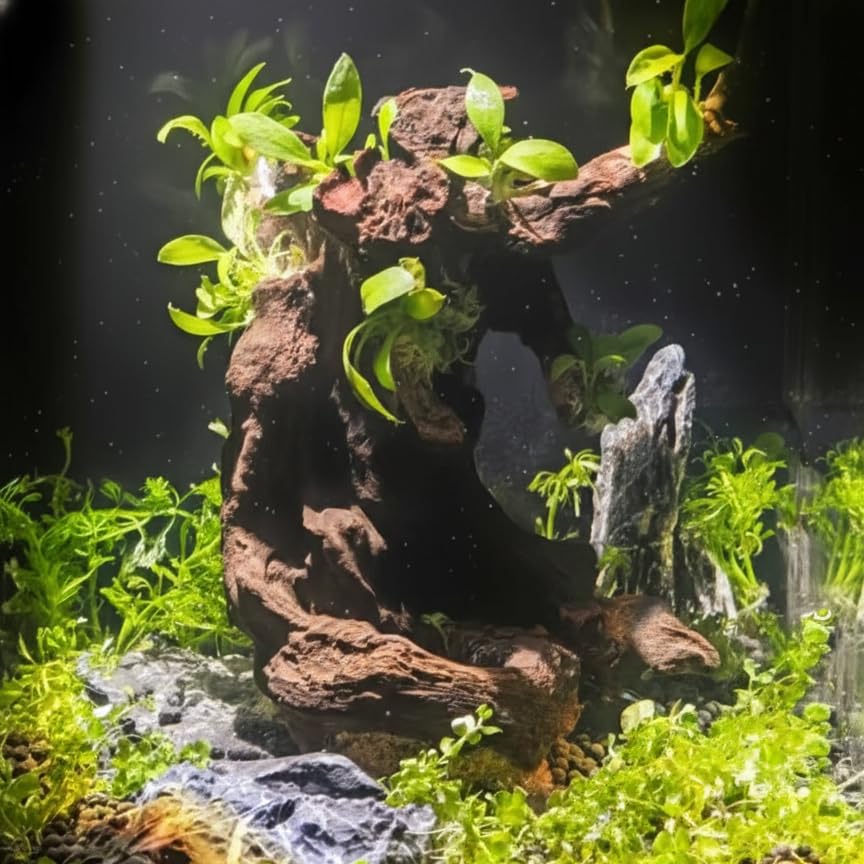 emours madera flotante, arte natural para acuario