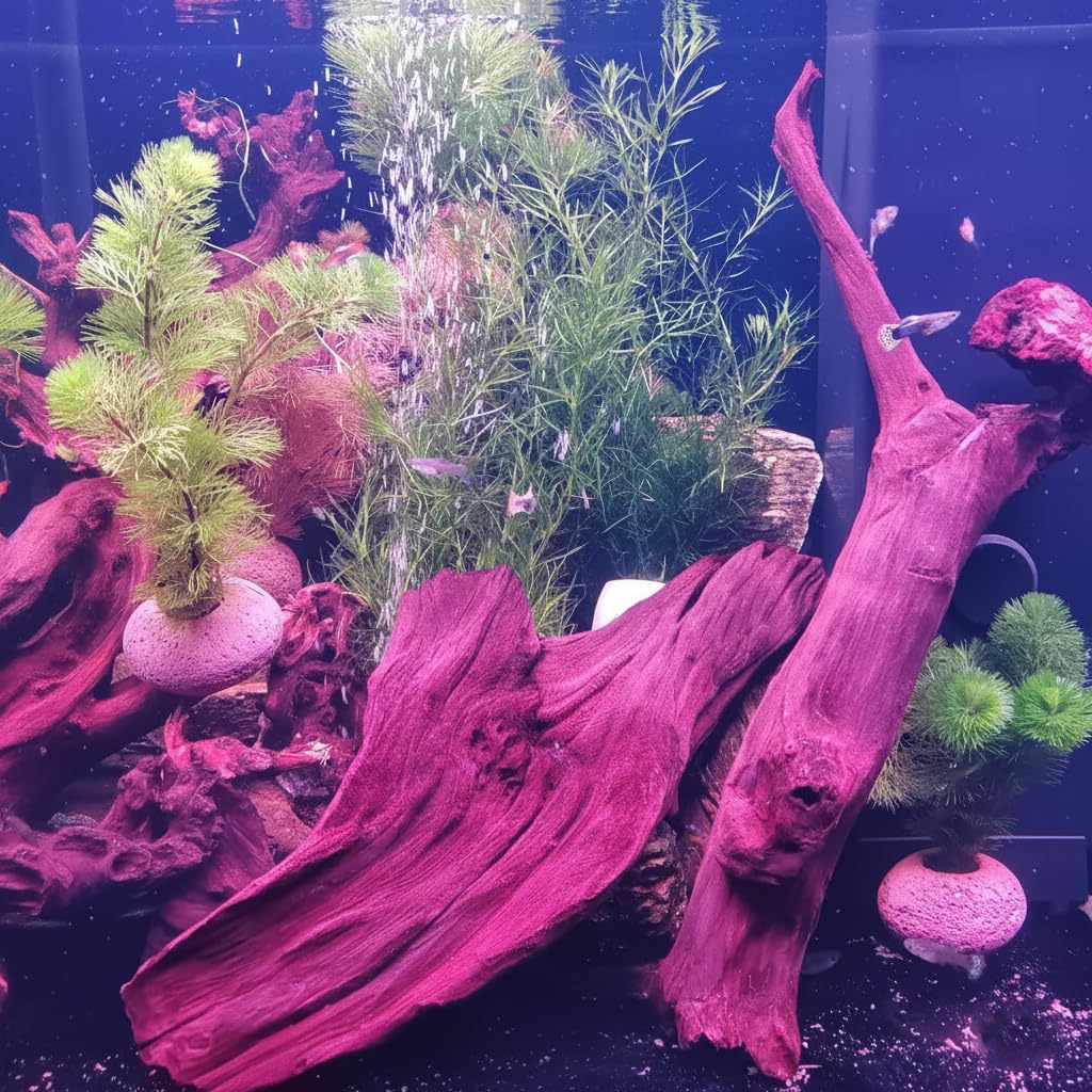 emours madera flotante, pieza unica para acuario