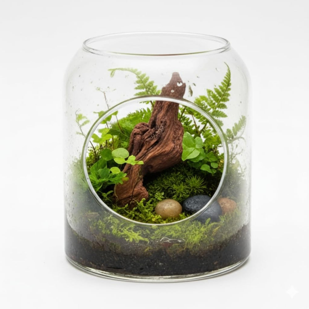 emours madera flotante, ramas naturales para acuario