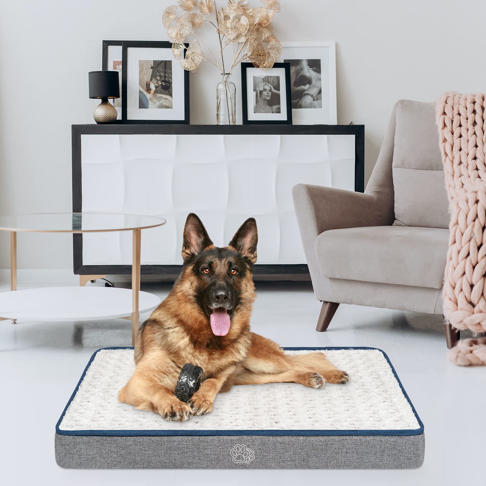 EMPSIGN cama para perro en jaula lista para uso diario