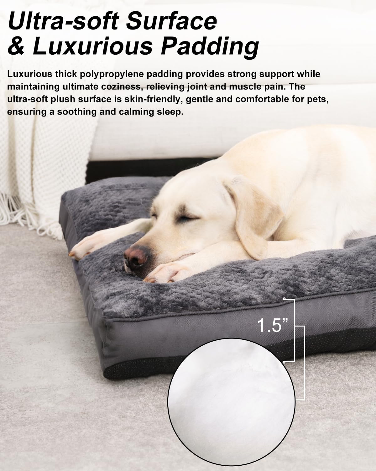 Cama EMSLX con lavado a máquina, práctica y duradera para mascotas.