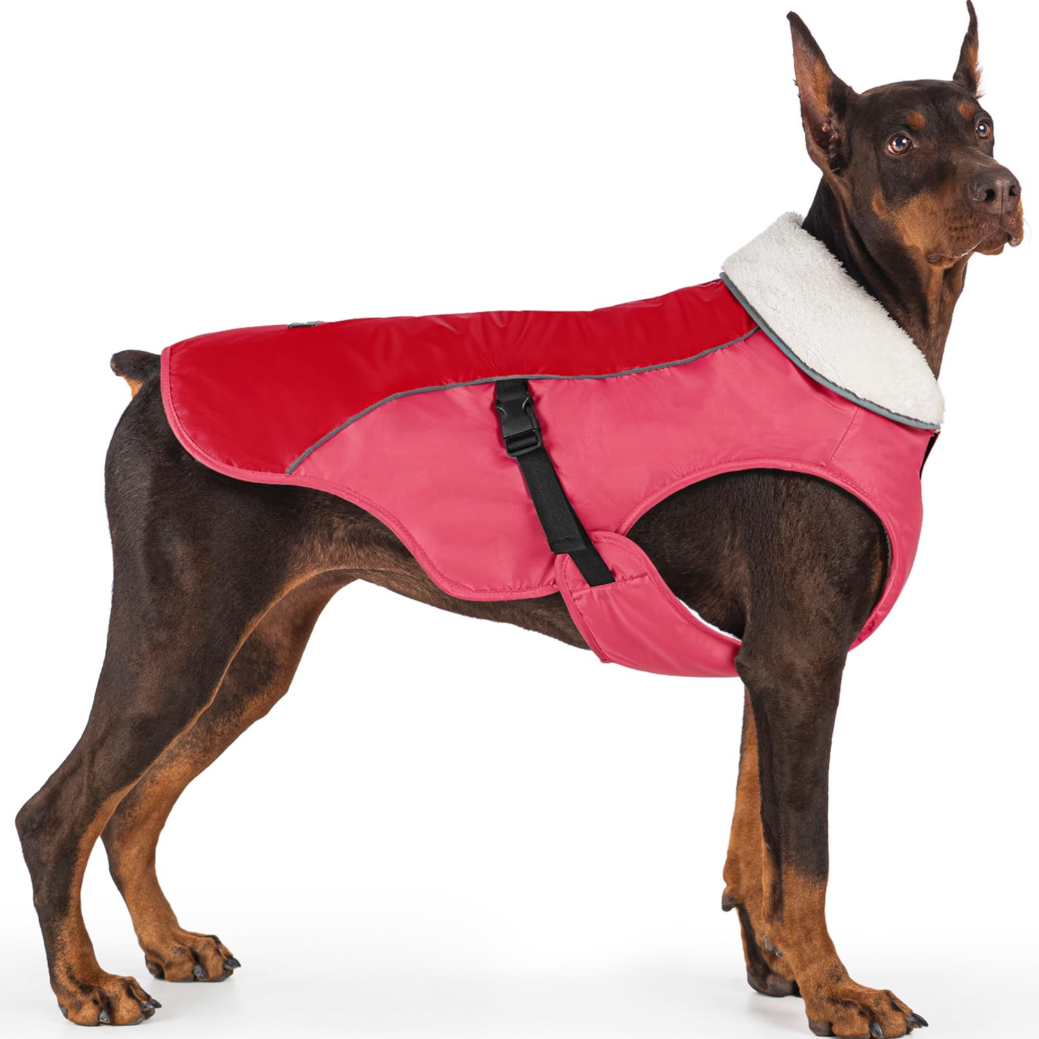 EMUST abrigo perro invierno con cierre para paseos cálidos y fáciles de poner