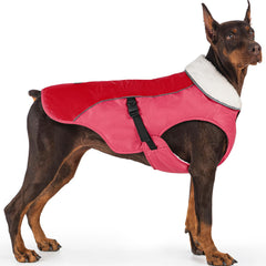 EMUST abrigo perro invierno con cierre para paseos cálidos y fáciles de poner