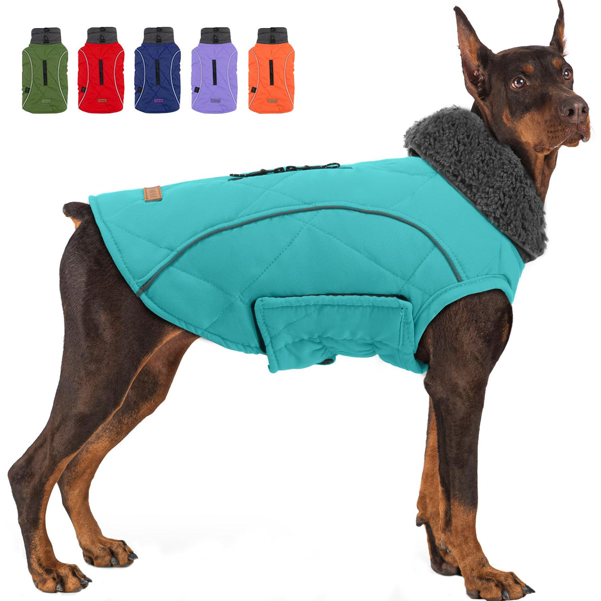 EMUST abrigo invierno para perro mediano con arnés, ideal para paseos en frío.