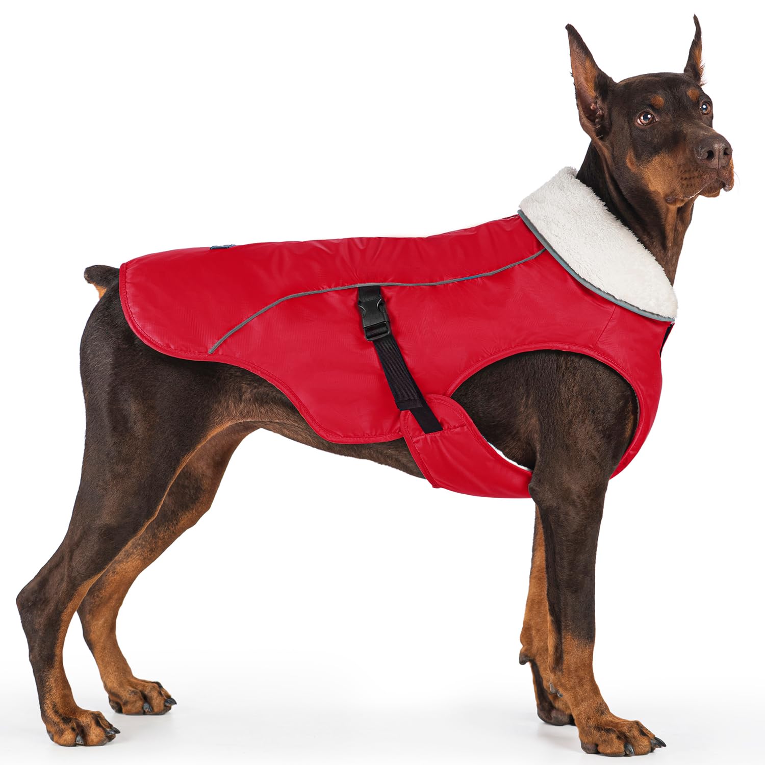Capa EMUST para perro con cremallera para arnés, uso cómodo durante paseos.