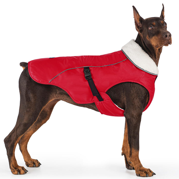 Capa EMUST para perro, vista frontal, ideal para paseos en clima frío.