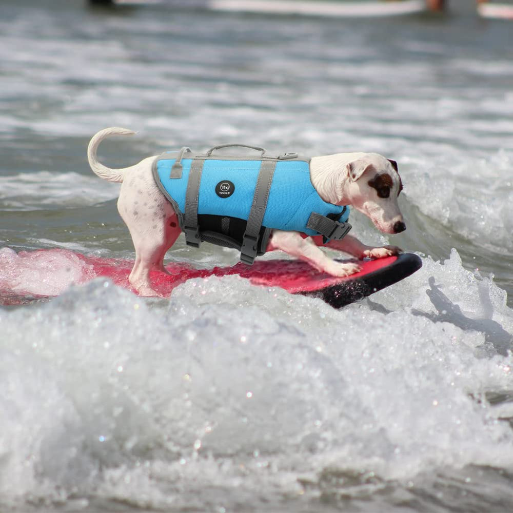 EMUST diseño atractivo de chaleco para perro, cómodo y llamativo en la playa.