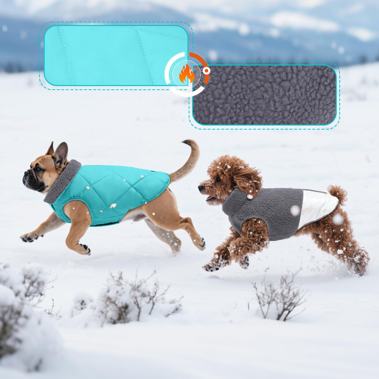 EMUST tallas adecuadas para perros pequeños con ajuste seguro