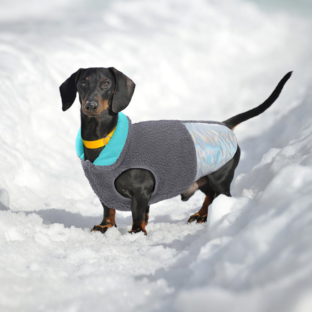 EMUST uso invernal para perros pequeños y cachorros en nieve