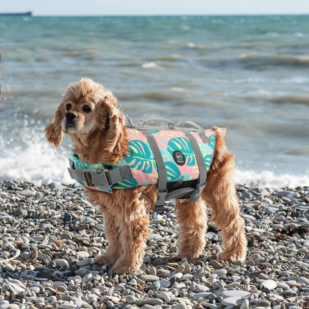 EMUST talla XS a 2XL para perros de todos los tamaños.