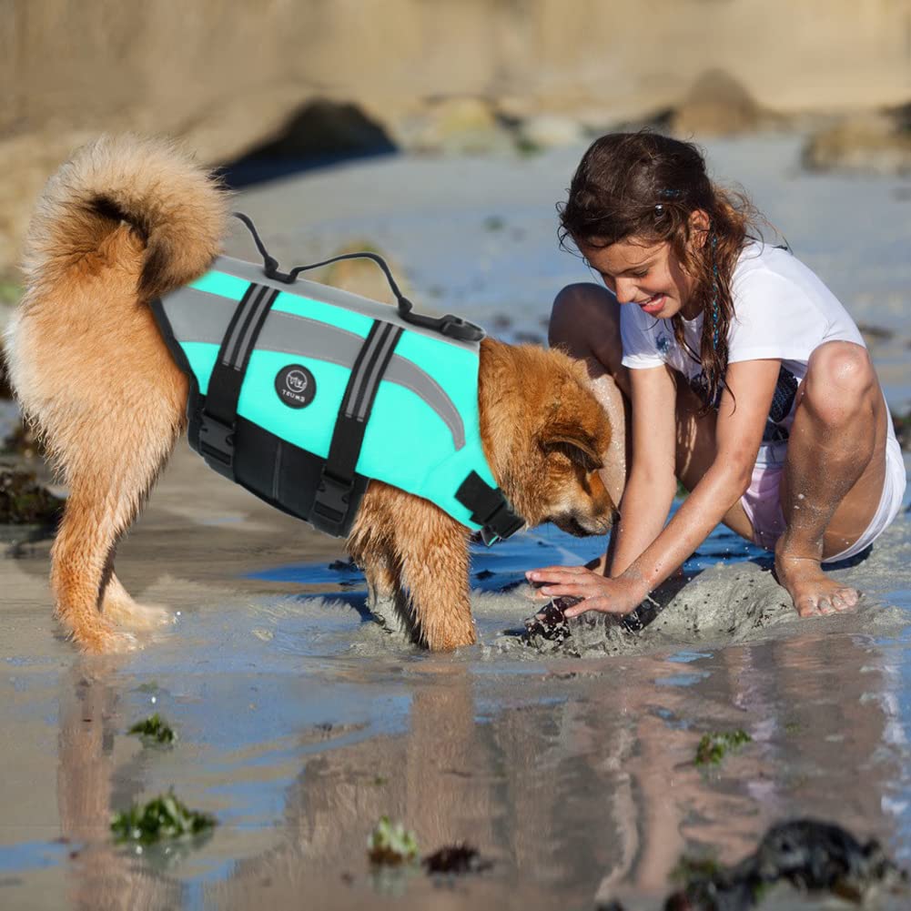 EMUST chaleco de perro con malla de secado rápido para agua.
