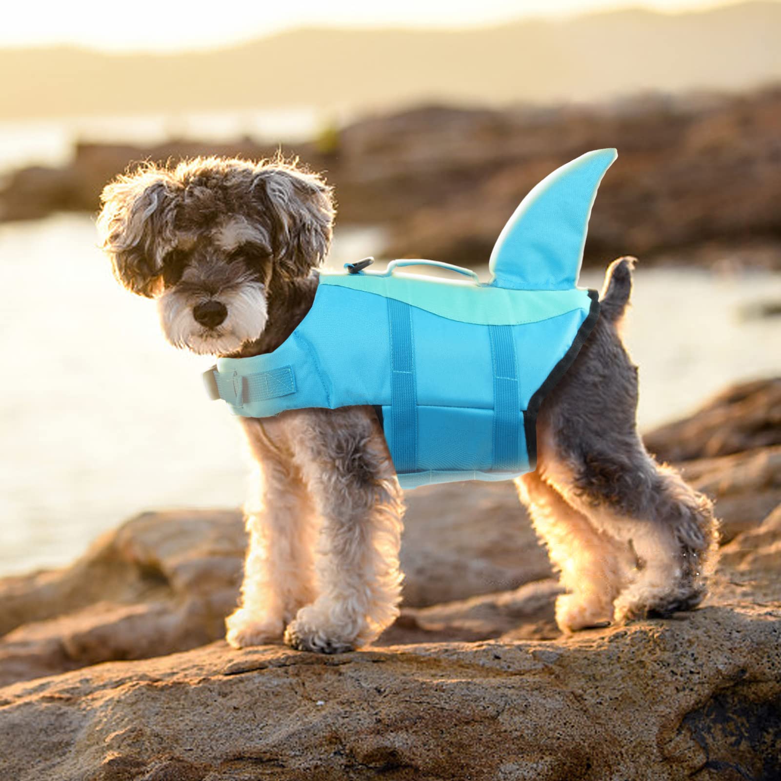 EMUST chaleco salva-vidas para perro, bandas reflectantes para mayor visibilidad.