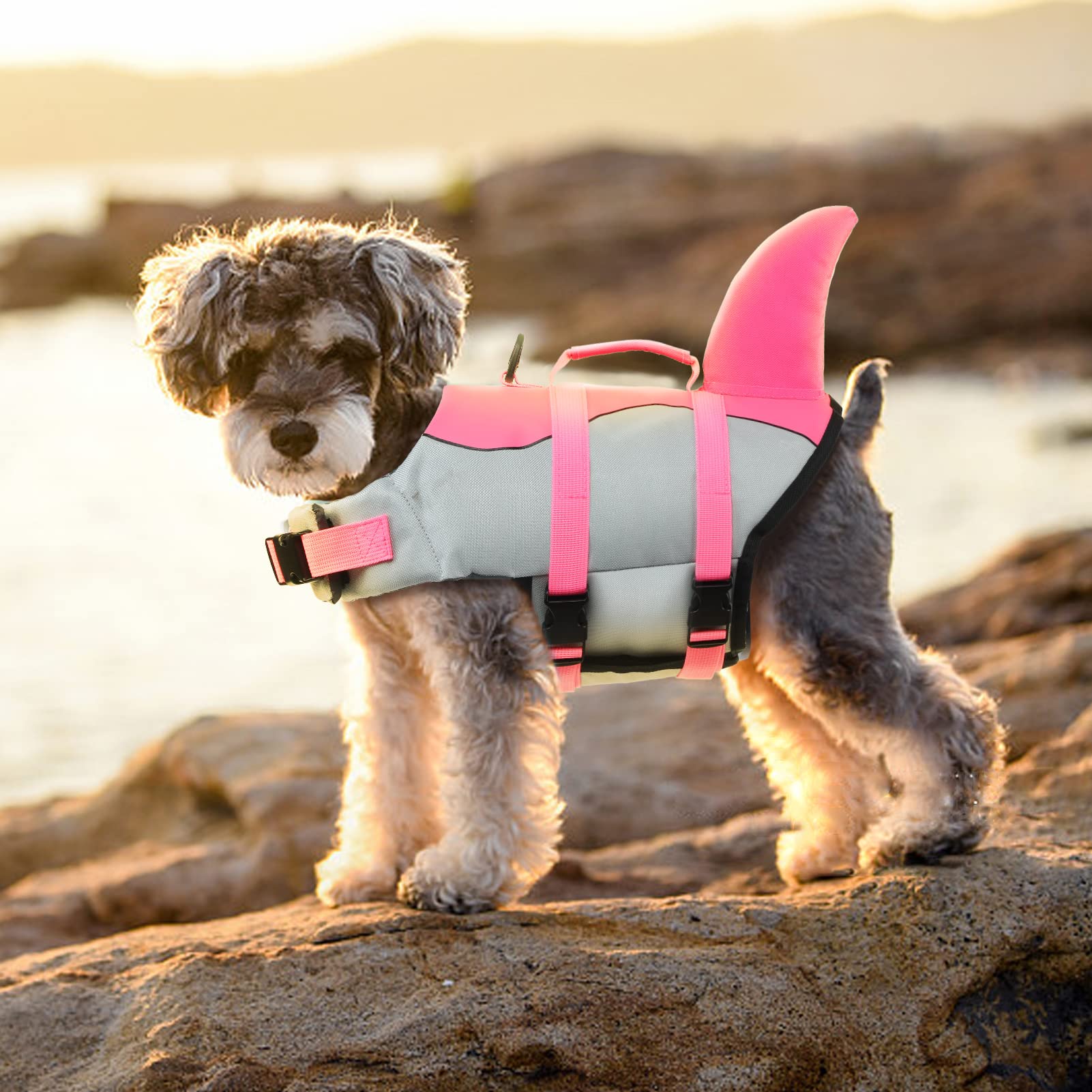 EMUST talla ajustable para perros pequeños y medianos