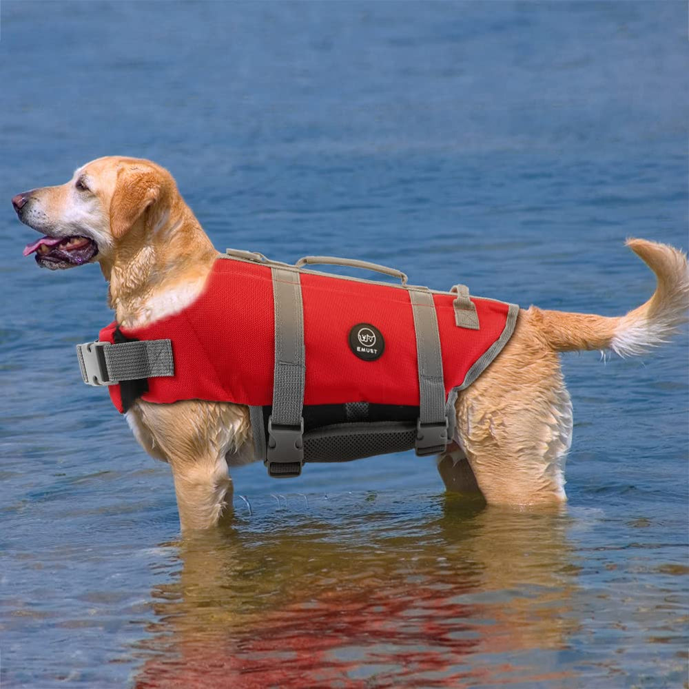 EMUST chaleco práctico para uso en playa o piscina