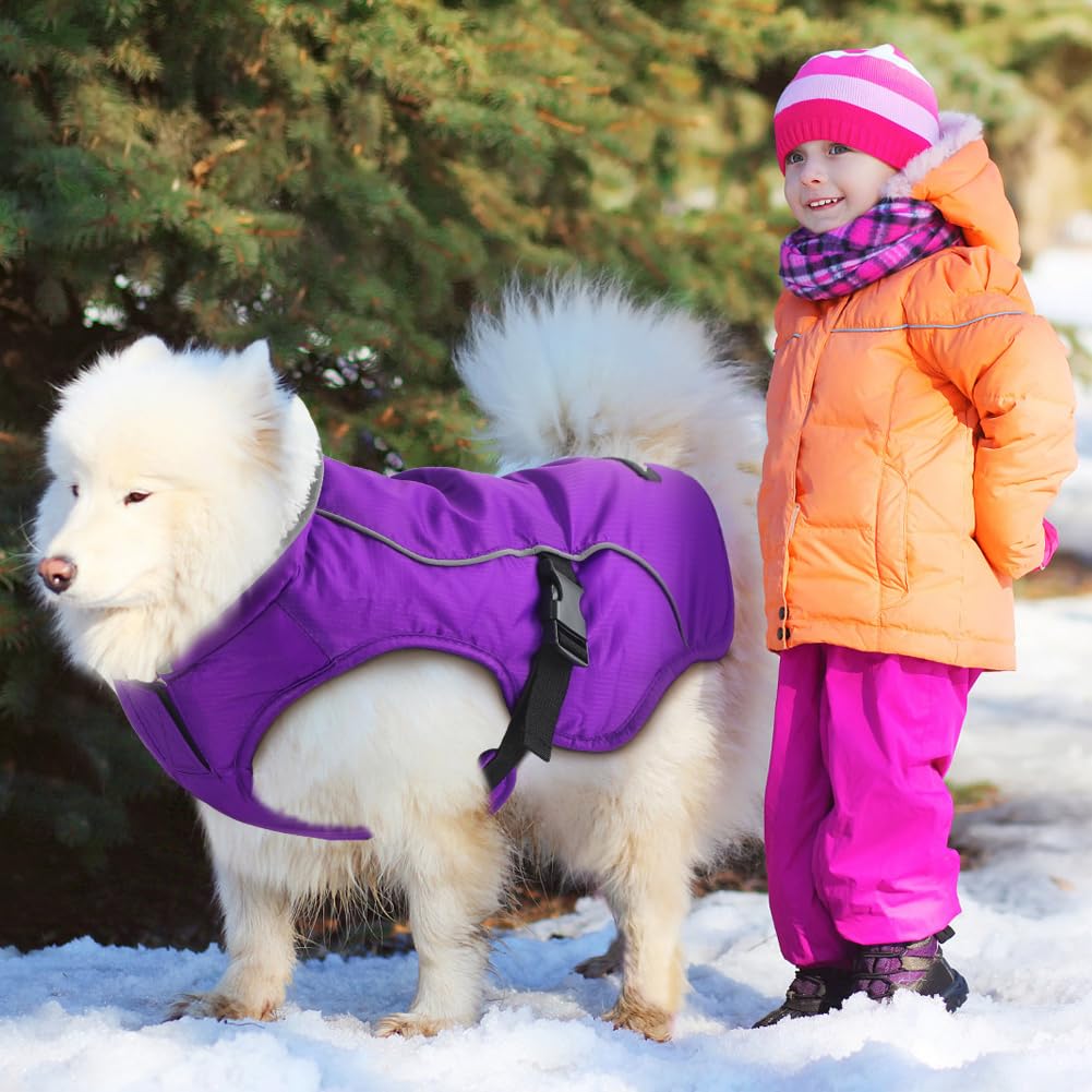 EMUST chaqueta para perro morada, cuello forrado de felpa para mayor confort.