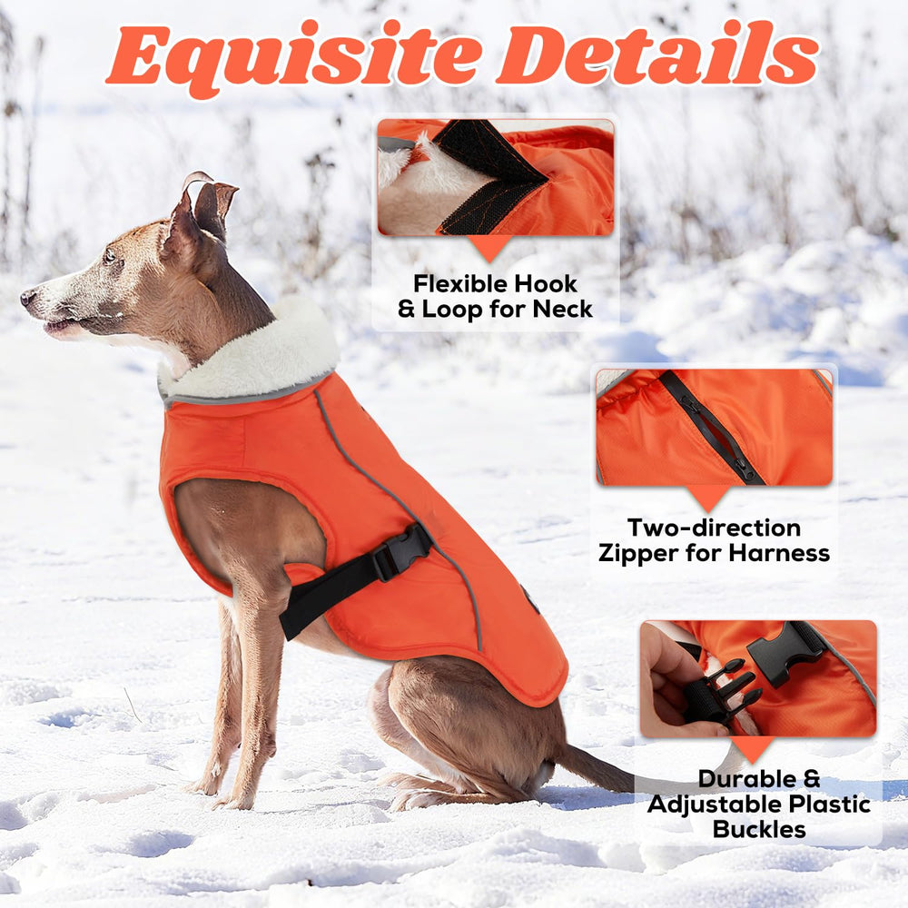 EMUST chaqueta de perro con hebillas ajustables para un ajuste seguro.