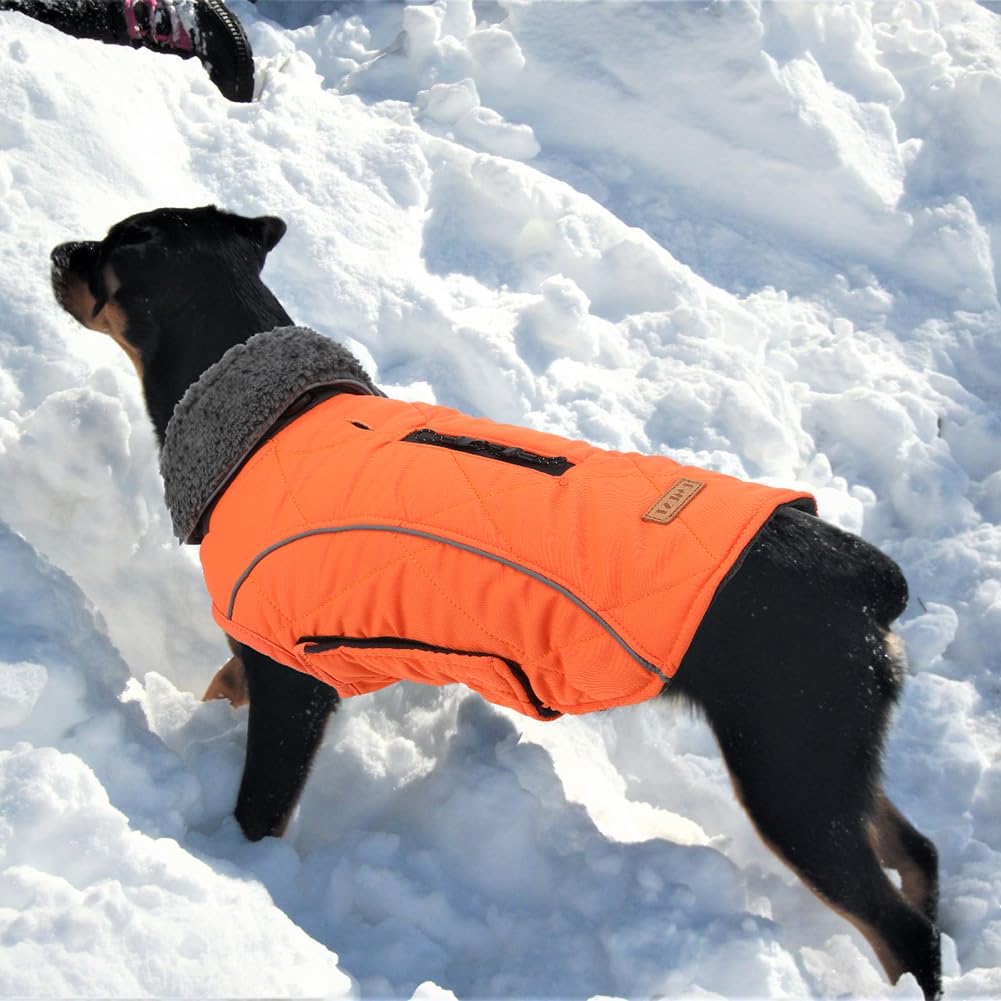 EMUST chaqueta con orificio para anilla de collar, uso diario al aire libre