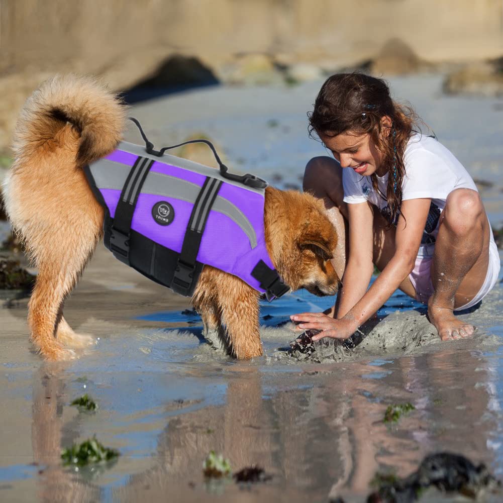 EMUST chaqueta salvavidas para perro en playa, color morado
