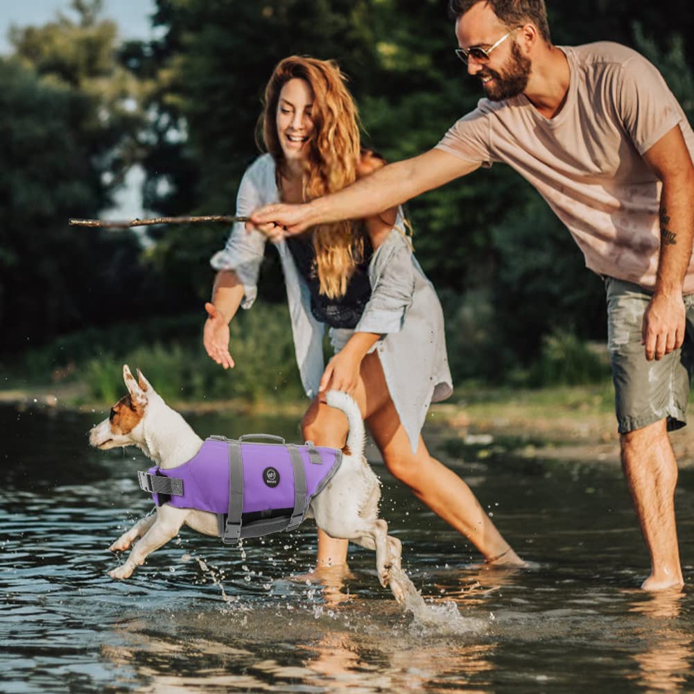 EMUST chaleco para perros en playa y piscina, ideal para paseos junto al agua.