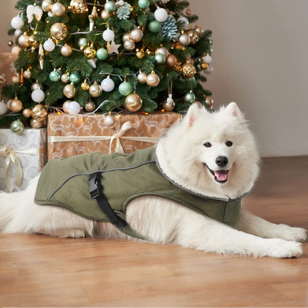 EMUST disponible en varias tallas para perros pequeños a grandes.