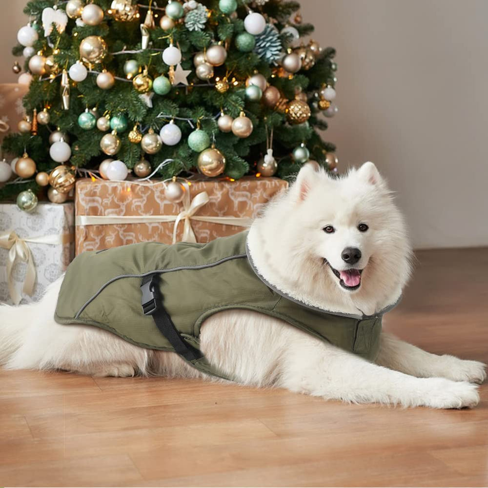 EMUST disponible en varias tallas para perros pequeños a grandes.