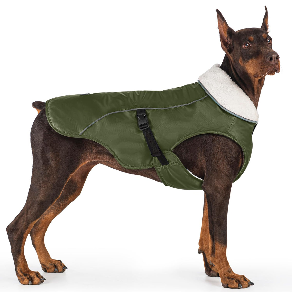 EMUST chaqueta para perros con borde reflectante, ideal para paseos nocturnos.