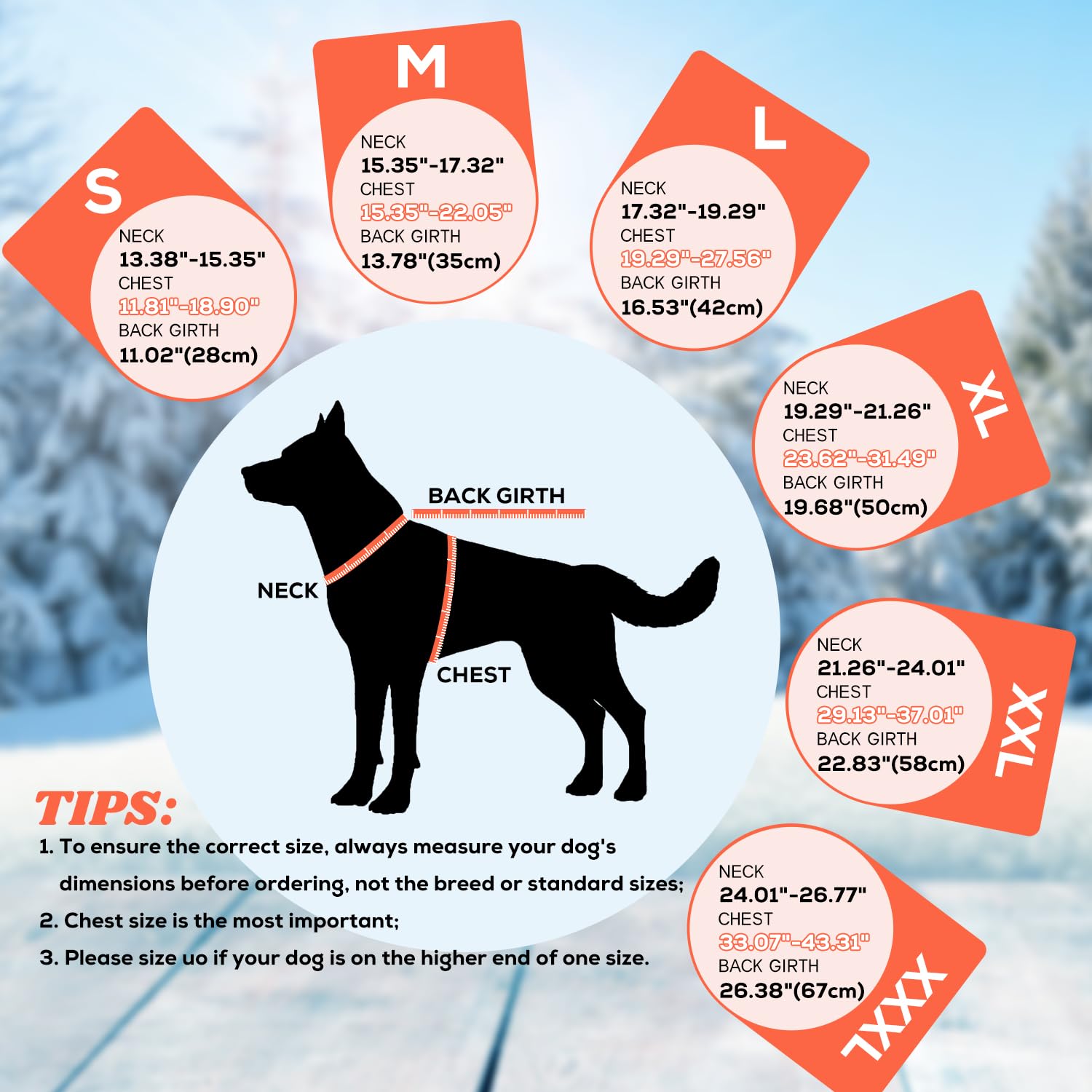 EMUST prenda impermeable para perros contra lluvia y viento