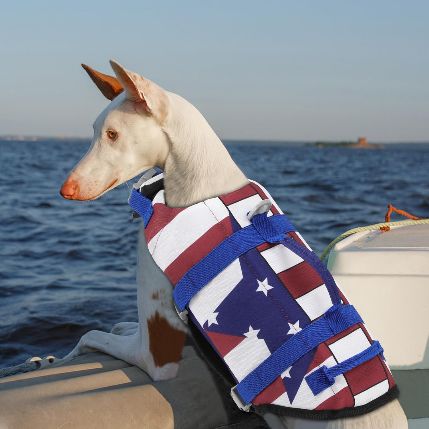 EMUST salvavidas canino, ideal para playa o piscina con flotación estable
