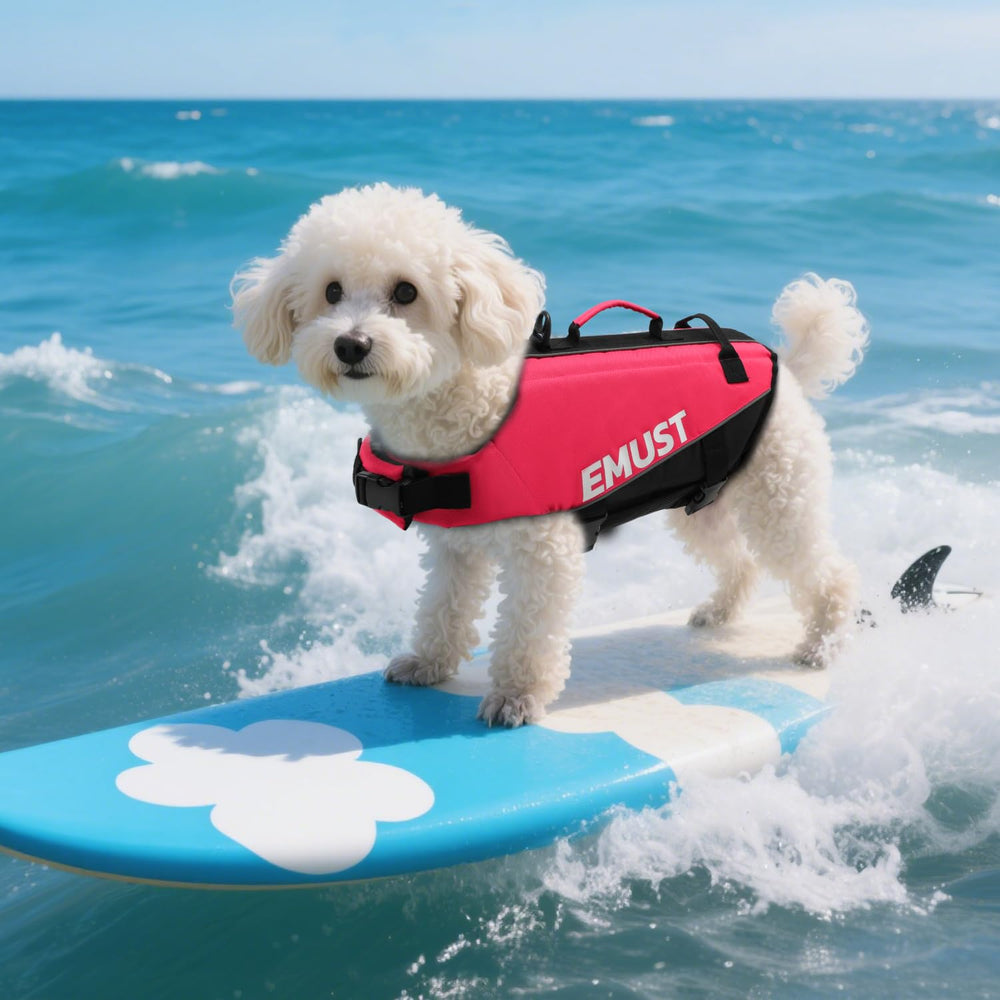 EMUST salvavidas para perros para playa y natación, ideal para paseos familiares seguros.