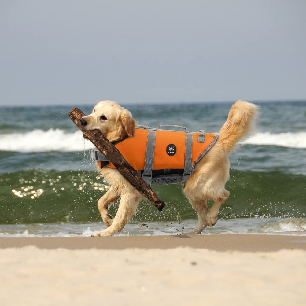 EMUST salvavidas para perros mejora visibilidad y seguridad en paseos junto al agua