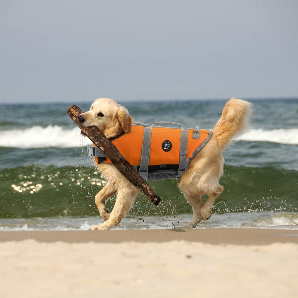 EMUST salvavidas para perros mejora visibilidad y seguridad en paseos junto al agua