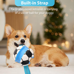 Eneston juguete interactivo para perro con correas, ideal para traer y tirar.