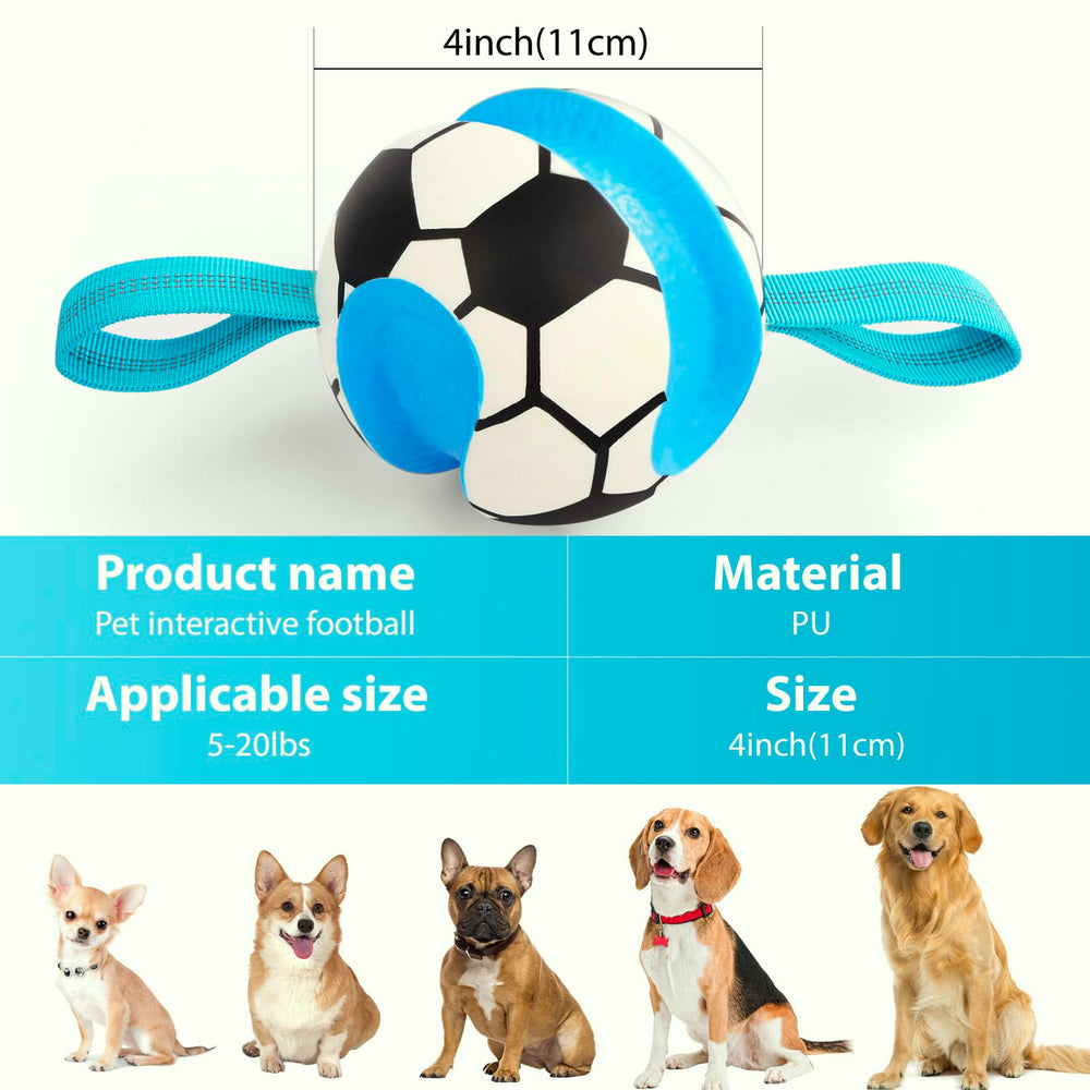Eneston regalo ideal para amantes de perros y cachorros.