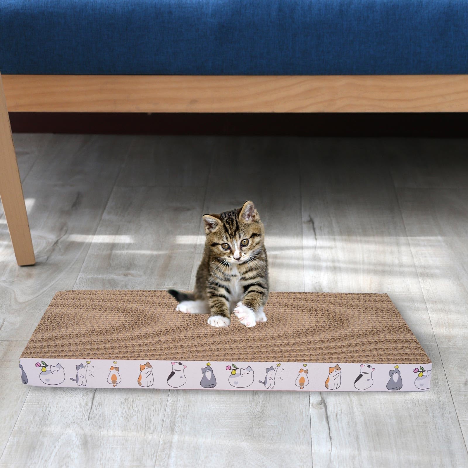 engelalike protege sofás y camas del rascado cuando el gato juega
