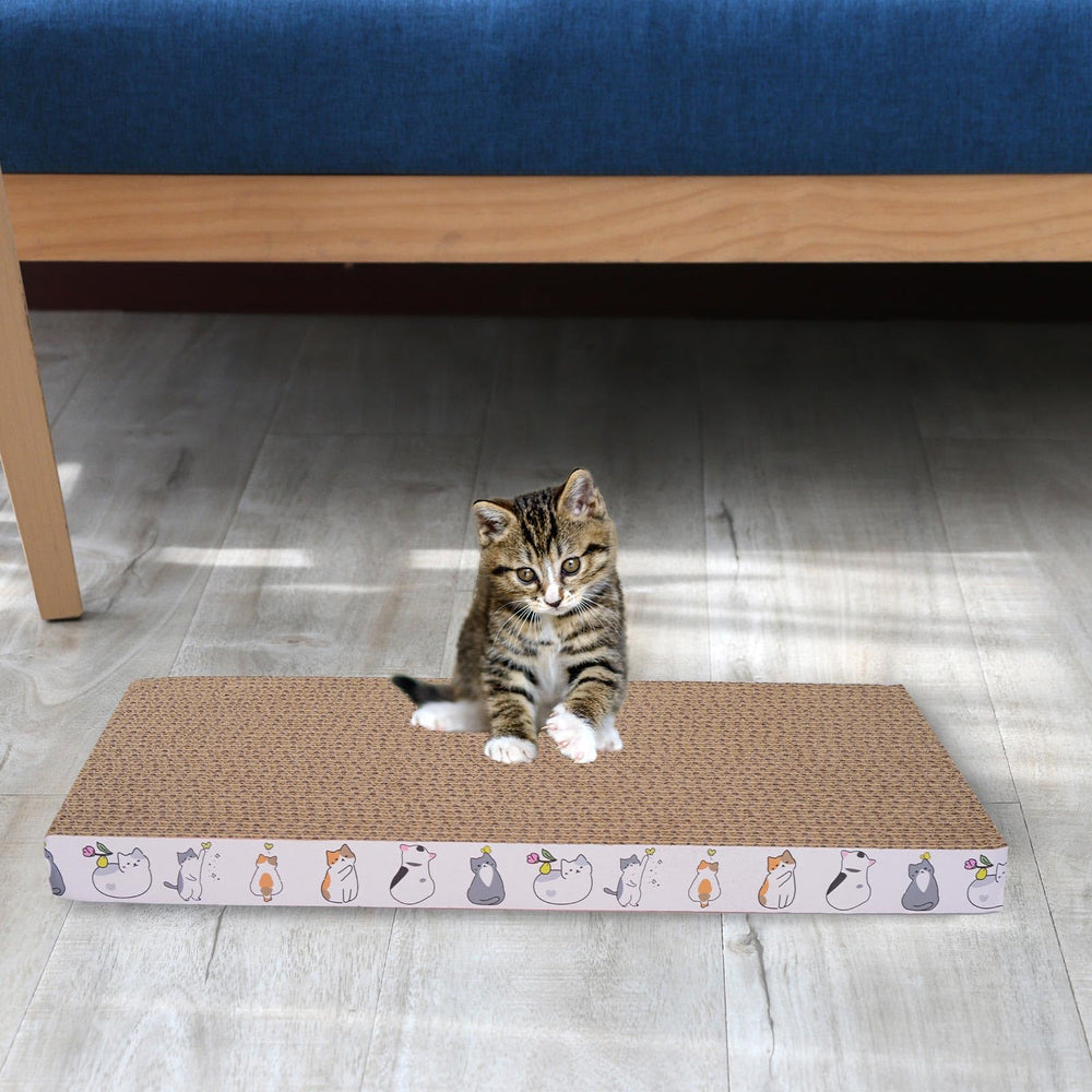 engelalike protege sofás y camas del rascado cuando el gato juega