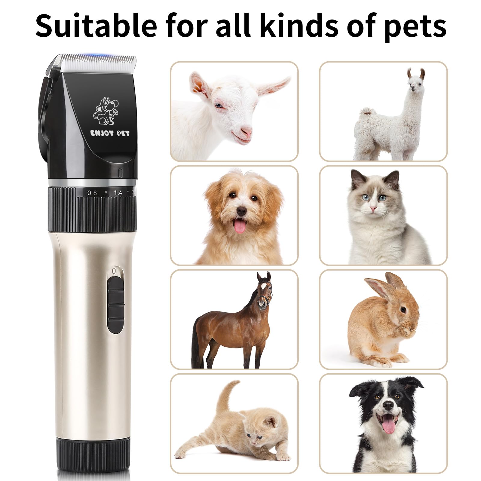 ENJOY PET consejos de cuidado de la máquina para un mantenimiento óptimo