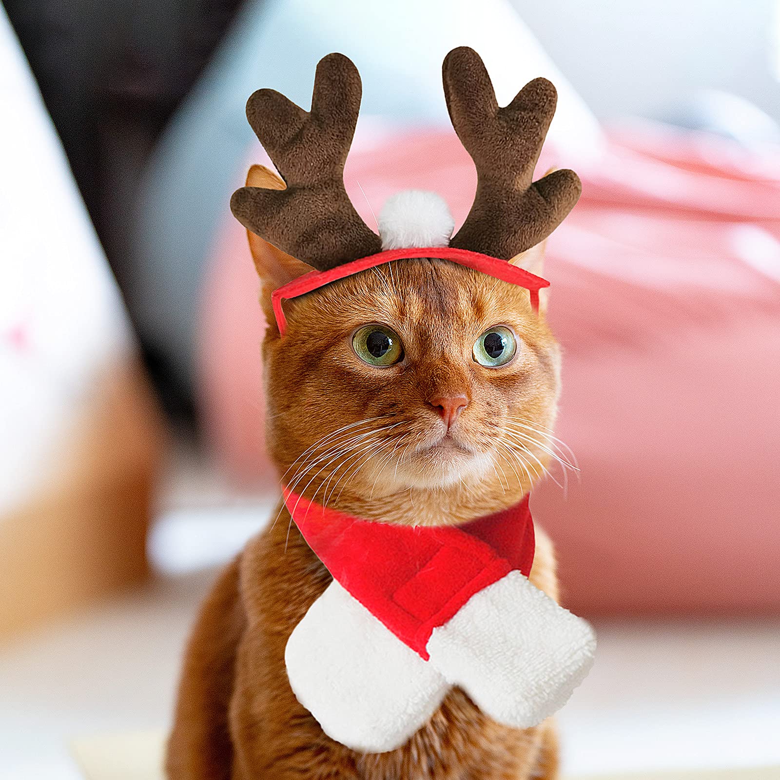 Bufanda navidad para mascotas de Enjoying, calidez festiva