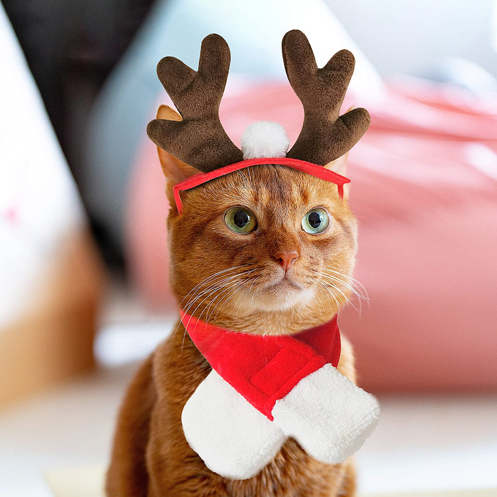 Bufanda navidad para mascotas de Enjoying, calidez festiva