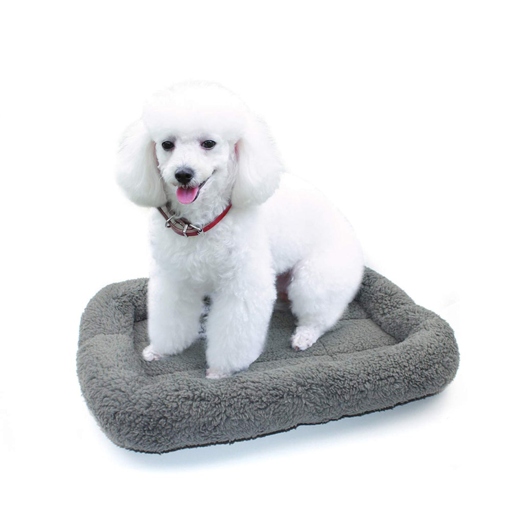 Cama Enjoying 16x22 para mascotas en escena completa.