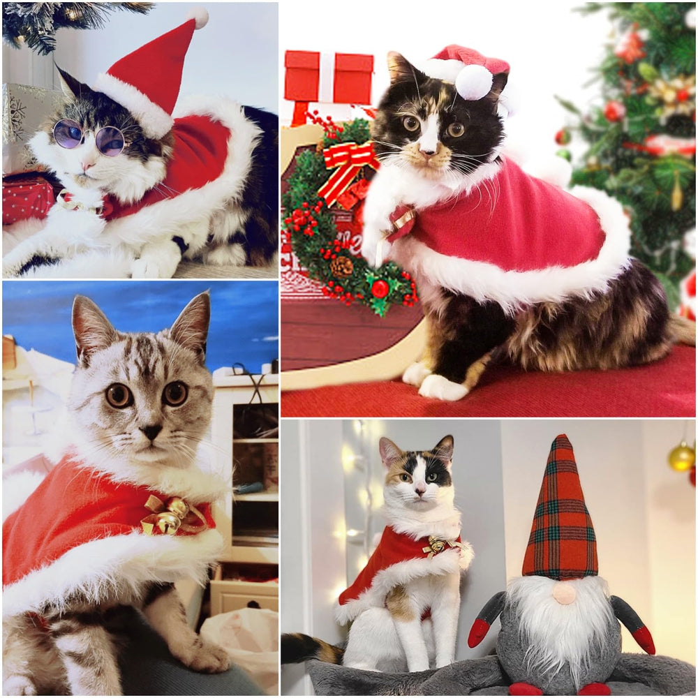 Enjoying conjunto navidad para mascotas, perfecto para fotos.