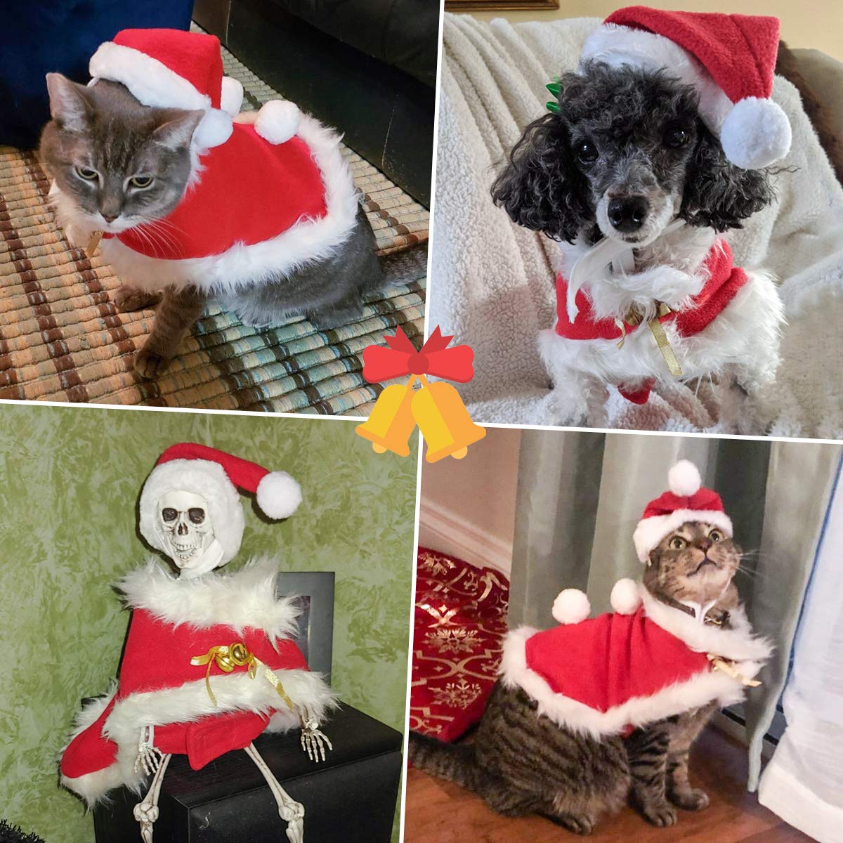 Enjoying disfraz navidad para gato y perro, ocasión festiva.