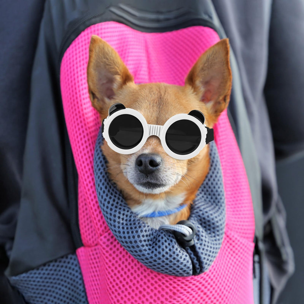 Gafas Enjoying para perro XS con ventilación y antiempañamiento
