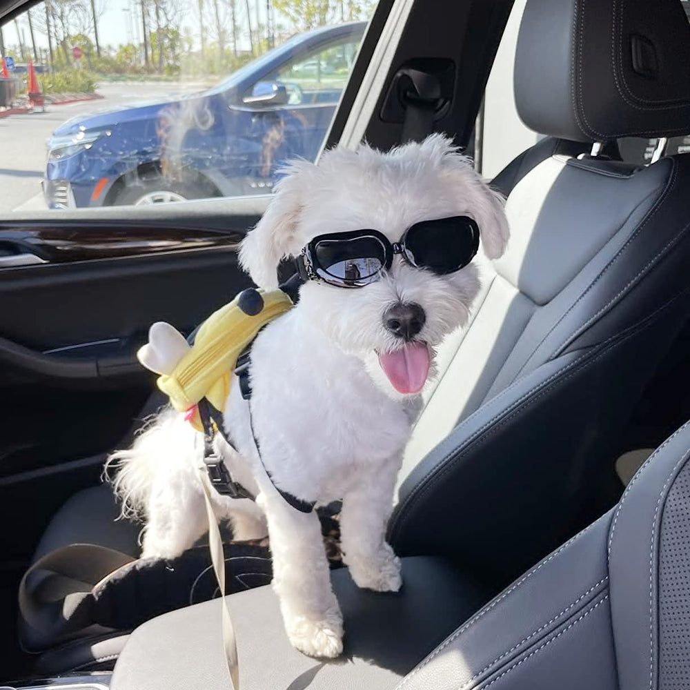 Enjoying ajuste cómodo para mascotas pequeñas sin presión ni roces.