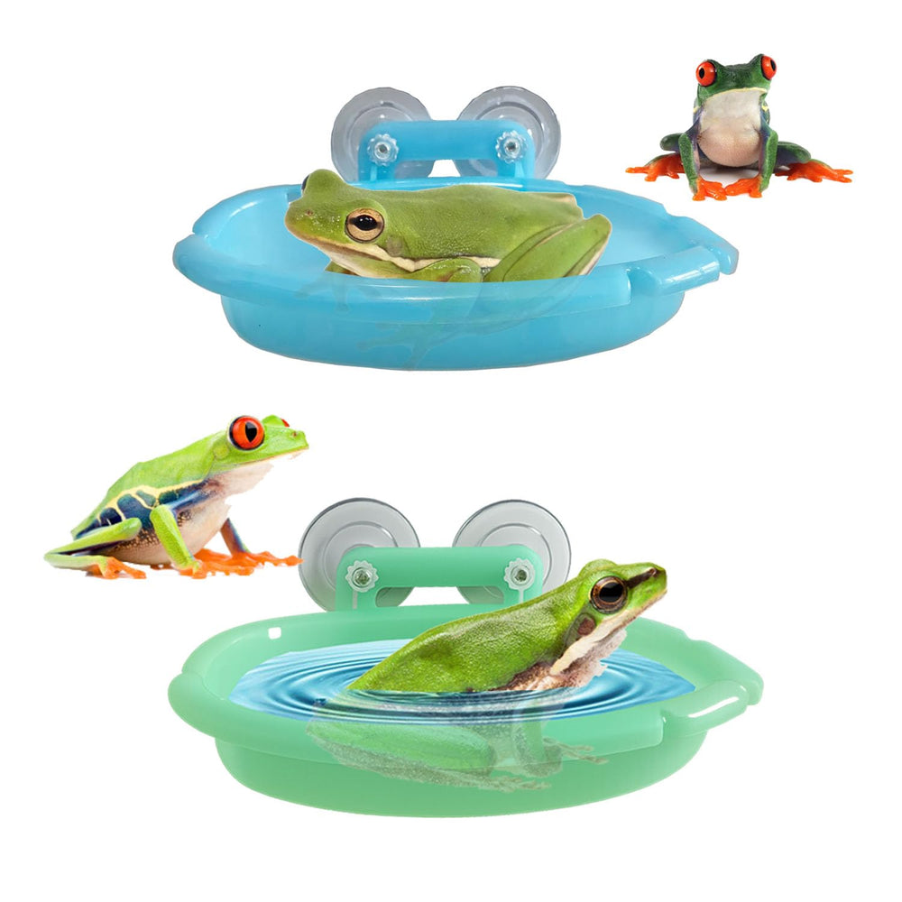 Enochainchin: baño para ranas en hábitat natural