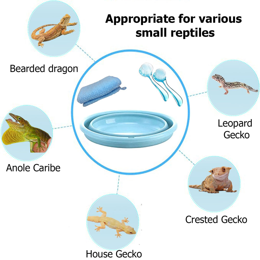 Enochainchin cepillos para baño, facilitan el aseo del dragón barbudo