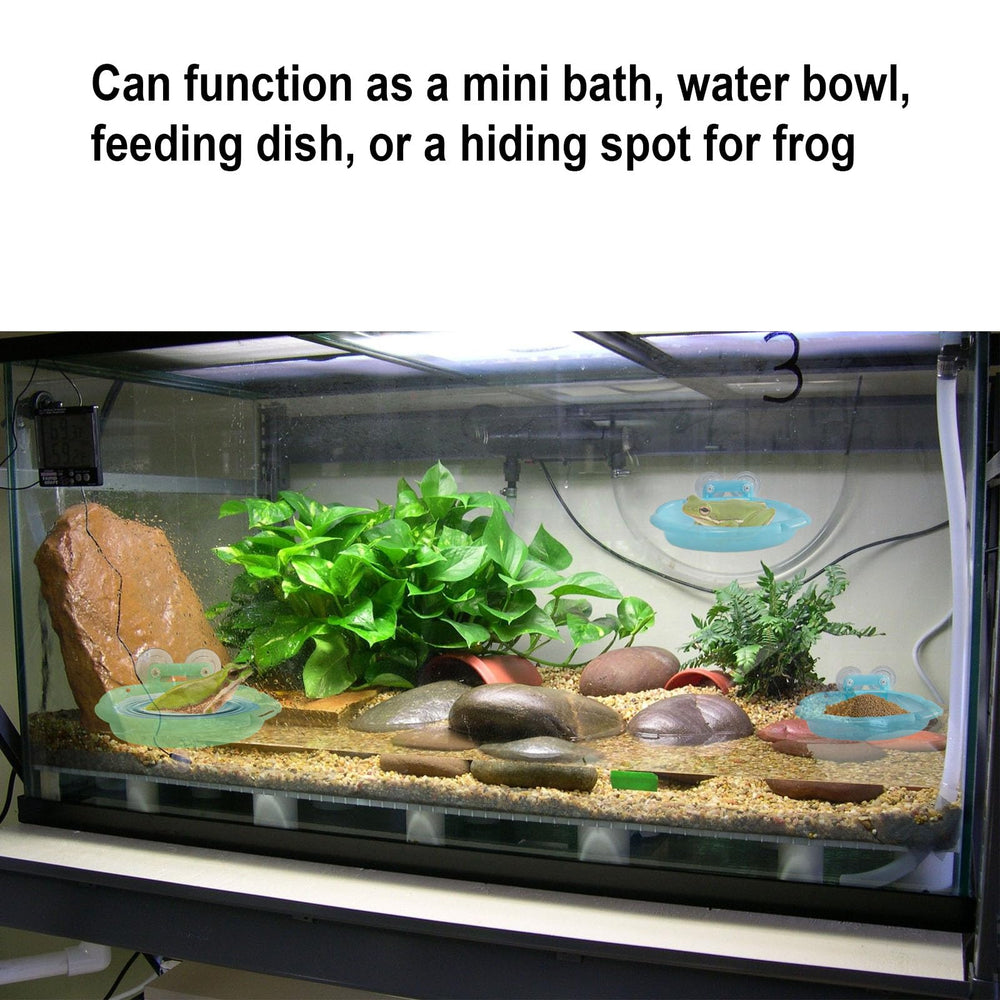 Enochainchin: tazón de agua seguro para ranas